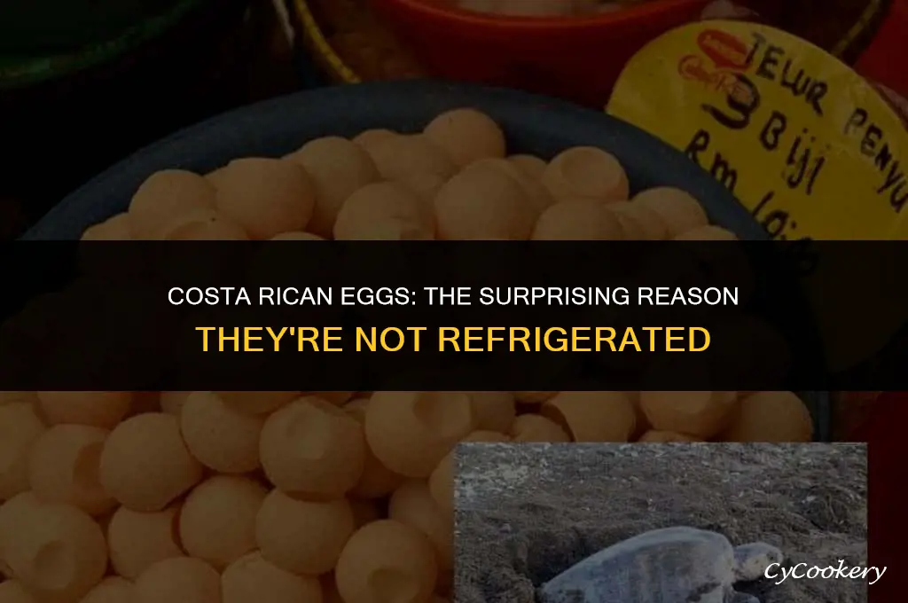 why are eggs not refrigerated in costa rica