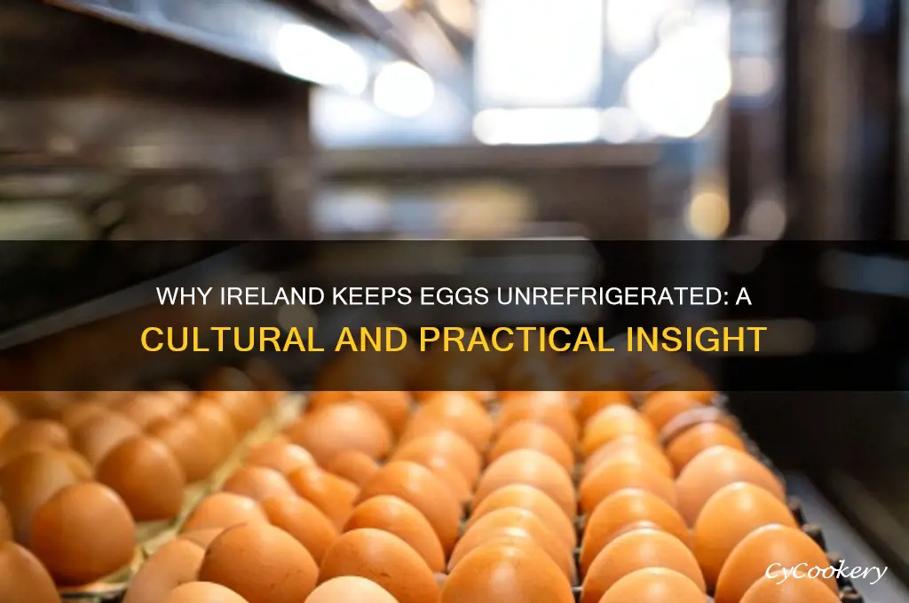 why are eggs not refrigerated in ireland
