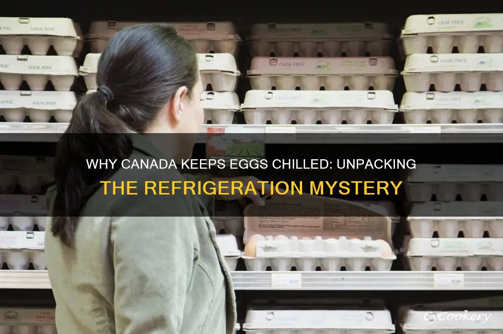 why are eggs refrigerated in canada
