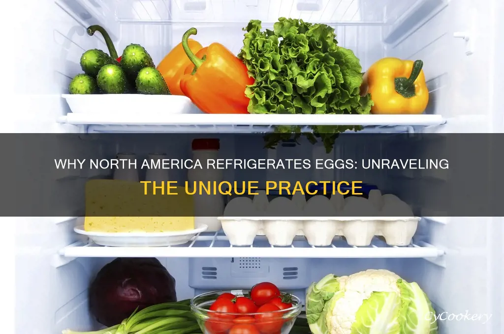 why are eggs refrigerated in north america