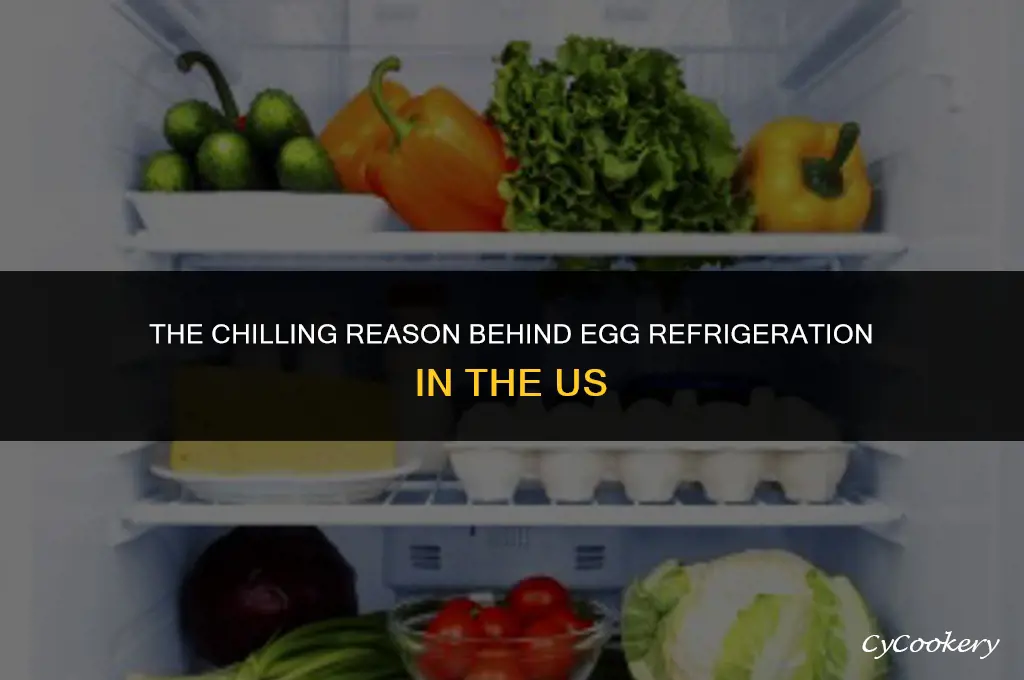 why are eggs refrigerated in the united states