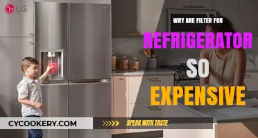 Why Refrigerator Filters Cost More Than You'd Expect: Explained