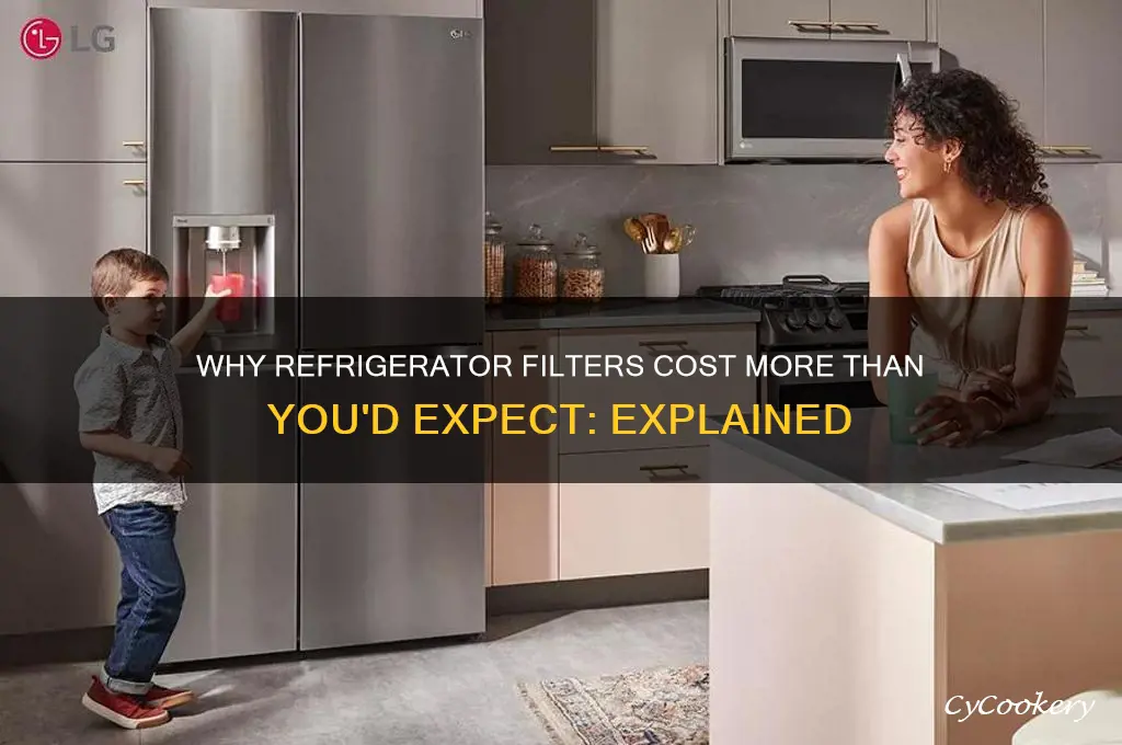 why are filter for refrigerators so expensive