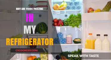 Why Are Foods Freezing in My Refrigerator? Troubleshooting Tips