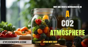The Chilly Secret: How CO2 Keeps Your Fruits Fresh