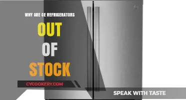 Why GE Refrigerators Are Out of Stock: Causes and Solutions