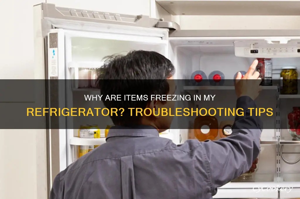 why are items freezing in my refrigerator