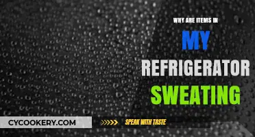 Why Are Items in My Refrigerator Sweating? Causes and Fixes