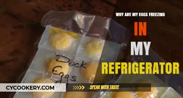 Chilled to Perfection? Understanding Why Your Eggs Freeze in the Fridge