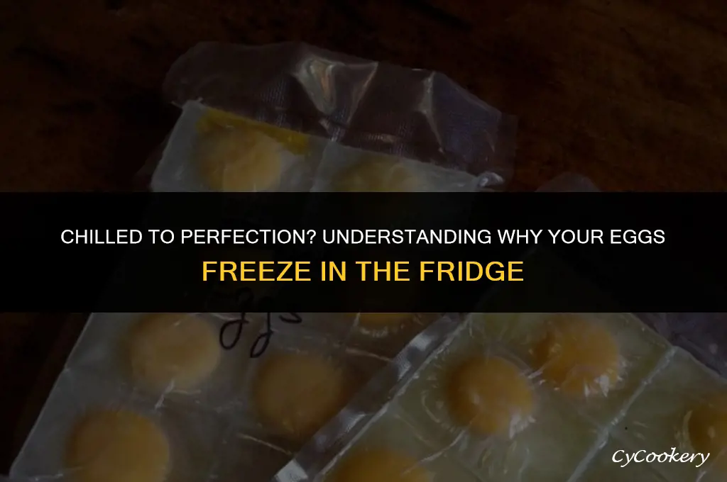 why are my eggs freezing in my refrigerator