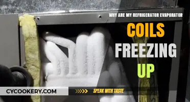 Chill Issues: Understanding and Fixing Freezing Evaporator Coils in Your Fridge