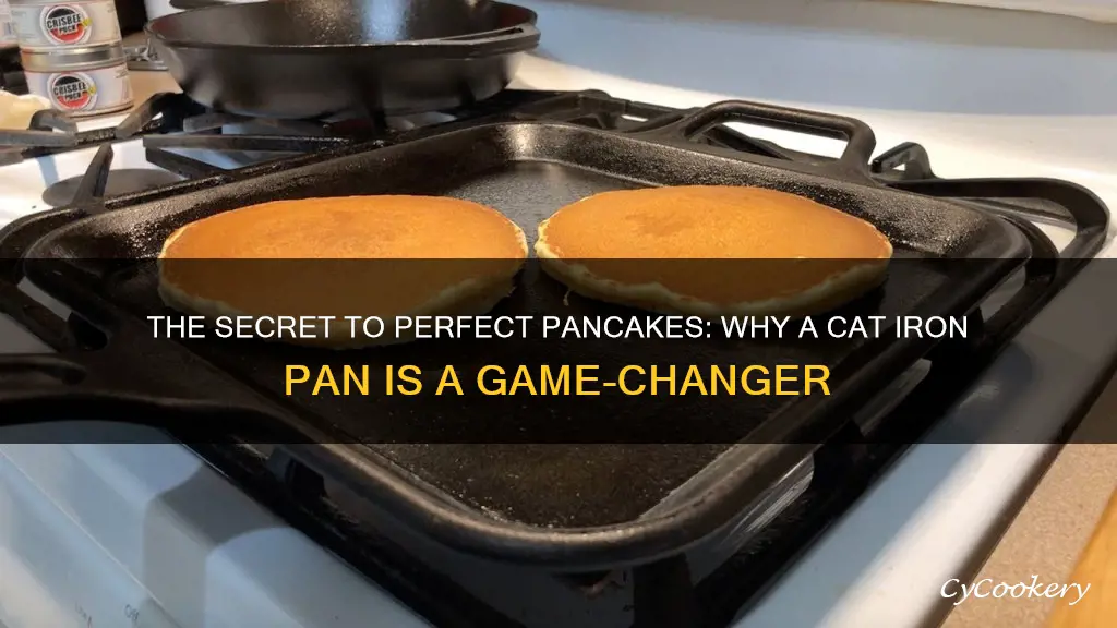 why are pancakes better on cats iron pan