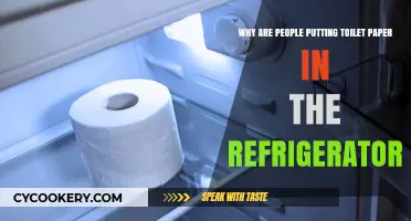 Chilled Comfort: The Surprising Trend of Refrigerating Toilet Paper