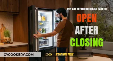 The Mysterious Case of the Stubborn Fridge Door