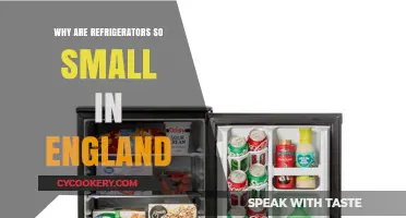 Why Are UK Fridges So Compact? Exploring England's Small Refrigerators