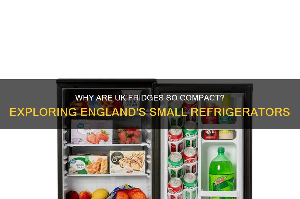 why are refrigerators so small in england