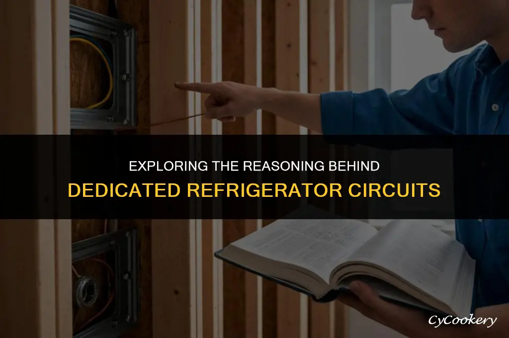 why are refrigerators wired on their own circuit
