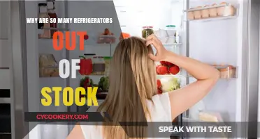 Chilled Market: The Surprising Reasons Behind Refrigerator Shortages