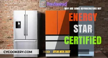 Decoding Energy Efficiency: Why Some Refrigerators Miss the Star