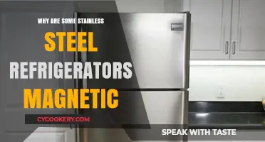Why Some Stainless Steel Fridges Attract Magnets: Explained