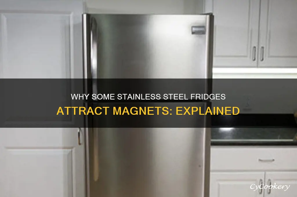 why are some stainless steel refrigerators magnetic