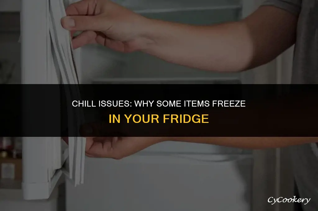 why are some things freezing in my refrigerator