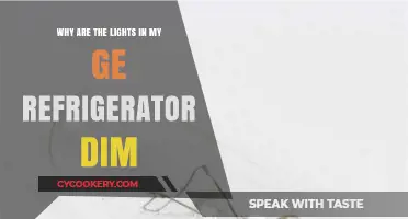 Why Are the Lights in My GE Refrigerator Dim?