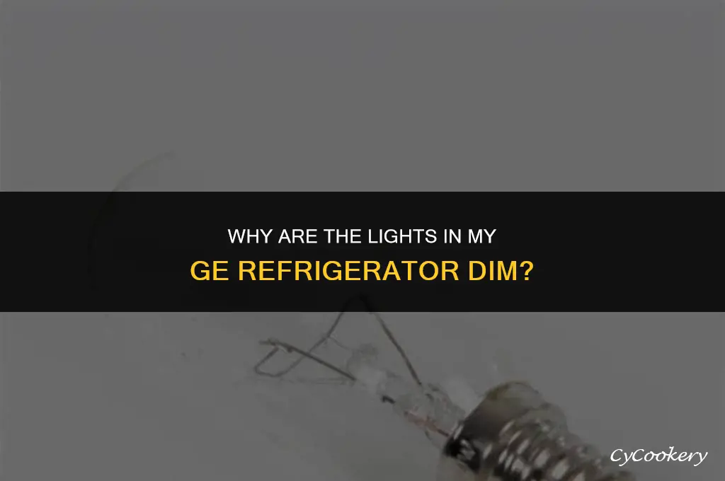 why are the lights in my ge refrigerator dim