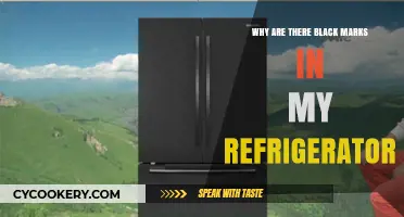 Mysterious Black Marks in Your Fridge: Causes and Solutions Explained