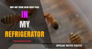The Mystery of Dead Fruit Flies in Your Fridge: Explained