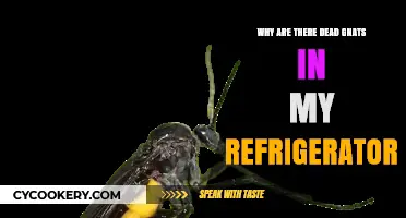 The Mystery of Dead Gnats in Your Refrigerator Explained