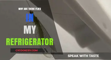 Why Flies Invade Your Fridge: Causes and Prevention Tips