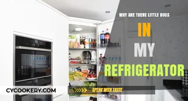 Tiny Uninvited Guests: Why Bugs Love Your Refrigerator