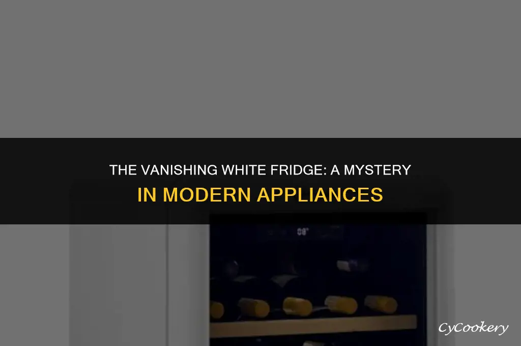 why are there no white refrigerators on display anywhere