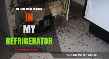 Why Roaches Invade Your Fridge: Causes and Prevention Tips