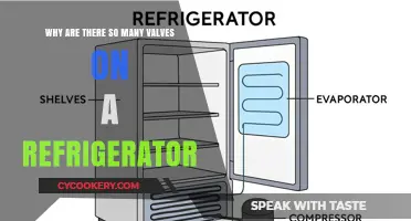 Decoding the Mystery: Why Refrigerators Have So Many Valves