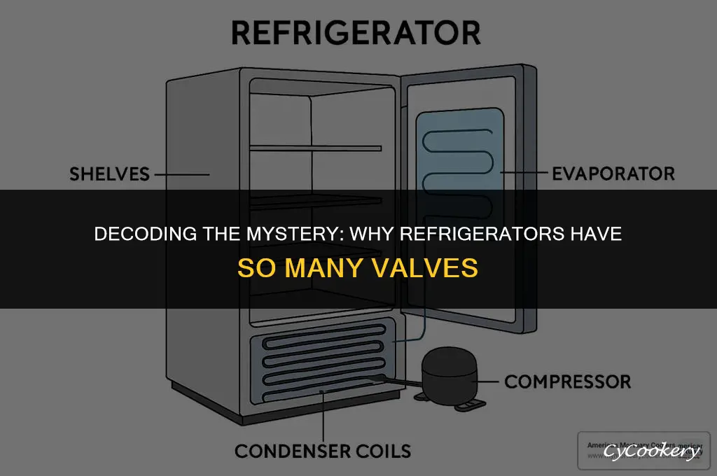 why are there so many valves on a refrigerator