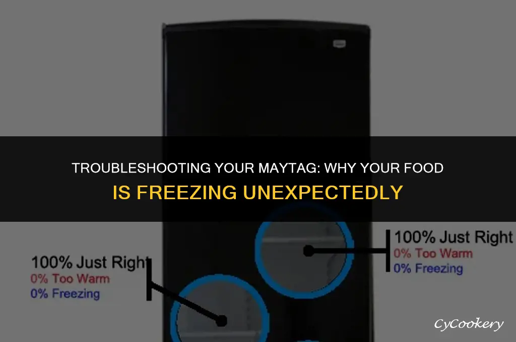 why are things freezing in my maytag refrigerator