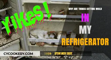 Unveiling the Mystery: Why Mold Loves Your Refrigerator
