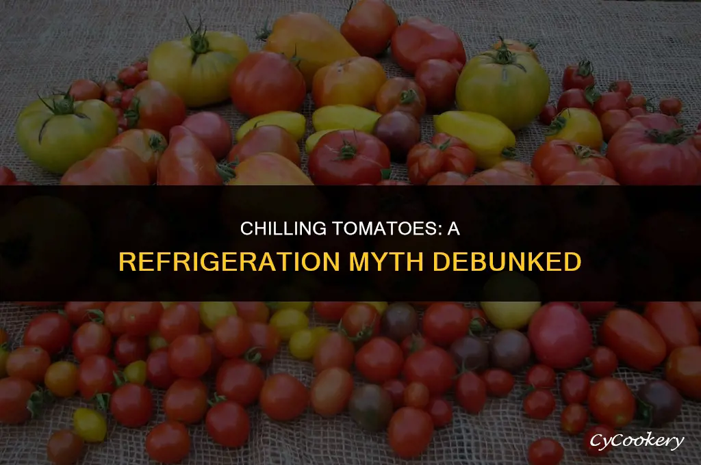 why are tomatoes not supposed to be refrigerated