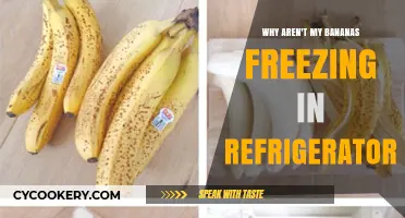 Chilled but Not Frozen: The Banana Refrigeration Dilemma Explained