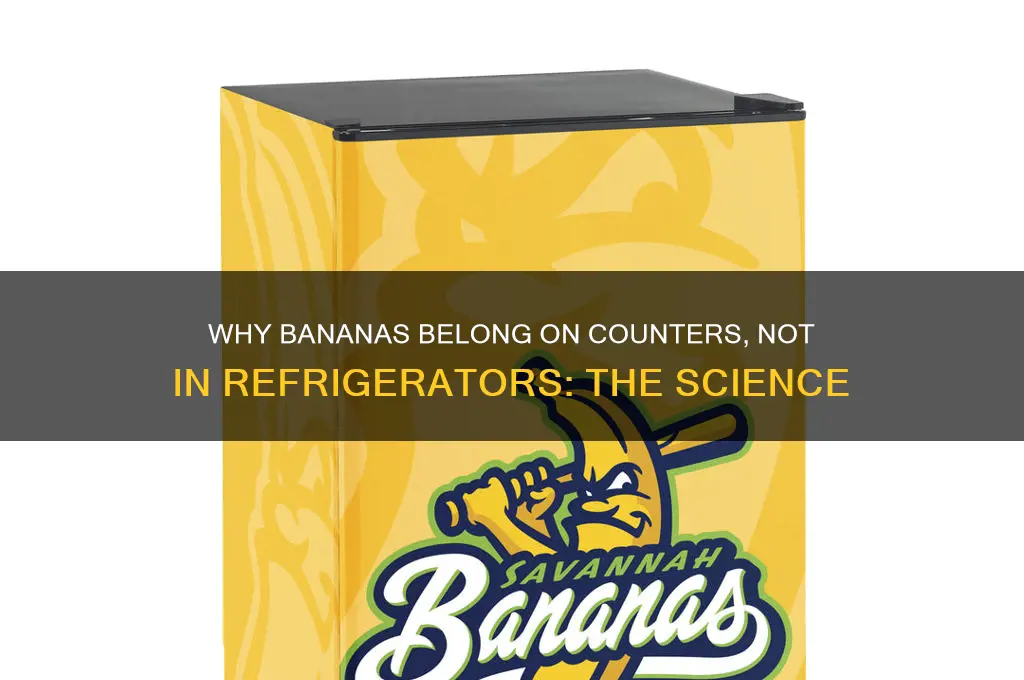 why banana is not kept in refrigerator