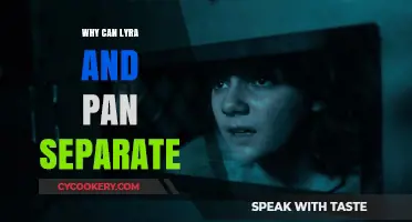 Lyra and Pan's Separation: The Reason Why
