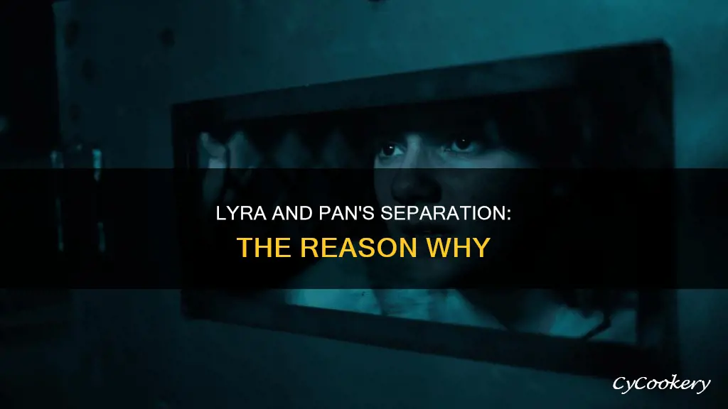 why can lyra and pan separate
