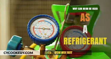 Neon's Unique Properties: An Ideal, Eco-Friendly Refrigerant Alternative