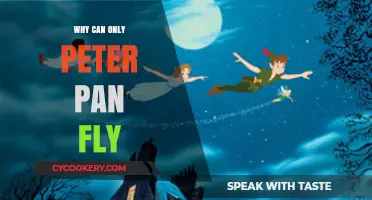 The Magic Behind Peter Pan's Flight