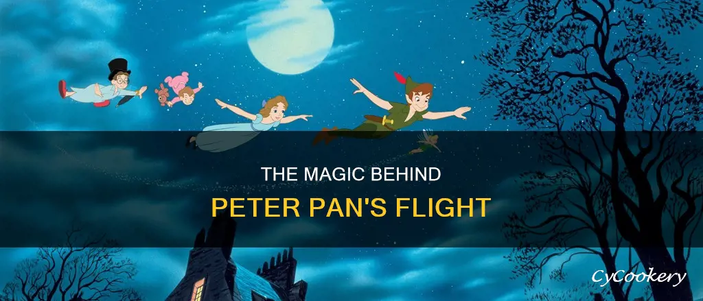 why can only peter pan fly