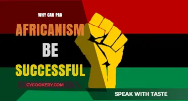 Pan-Africanism: A United Future for Africa