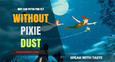 Peter Pan's Flight: The Magic Behind it All