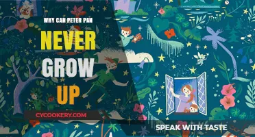 Peter Pan's Eternal Youth: A Never-Ending Mystery